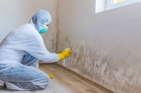 Best Mold Prevention Services in Lake San Marcos, CA